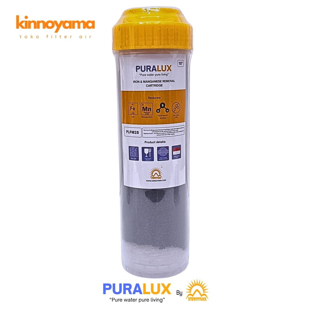 Cartridge Filter Air 10 Inch Manganese zeolite / F...