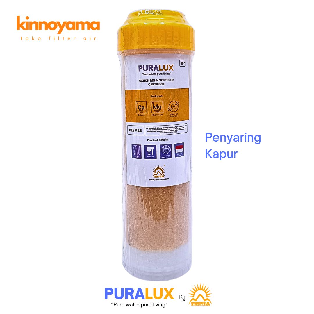 Cartridge Filter Air 10" Resin Cation Platinum Kin...
