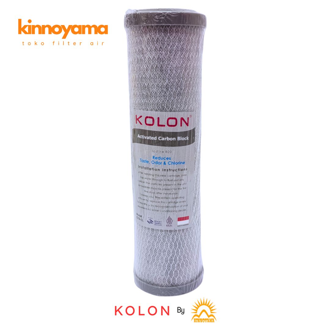 Cartridge Filter Air CTO 10 inci / Karbon Blok / C...