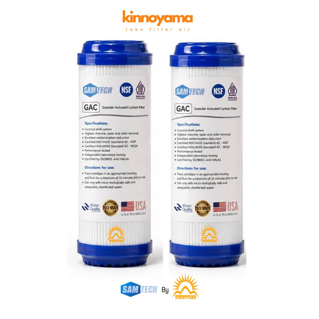 Cartridge Filter Air GAC 10 Inch / Granular Activated Carbon 10" - KINNOYAMA - foto 4